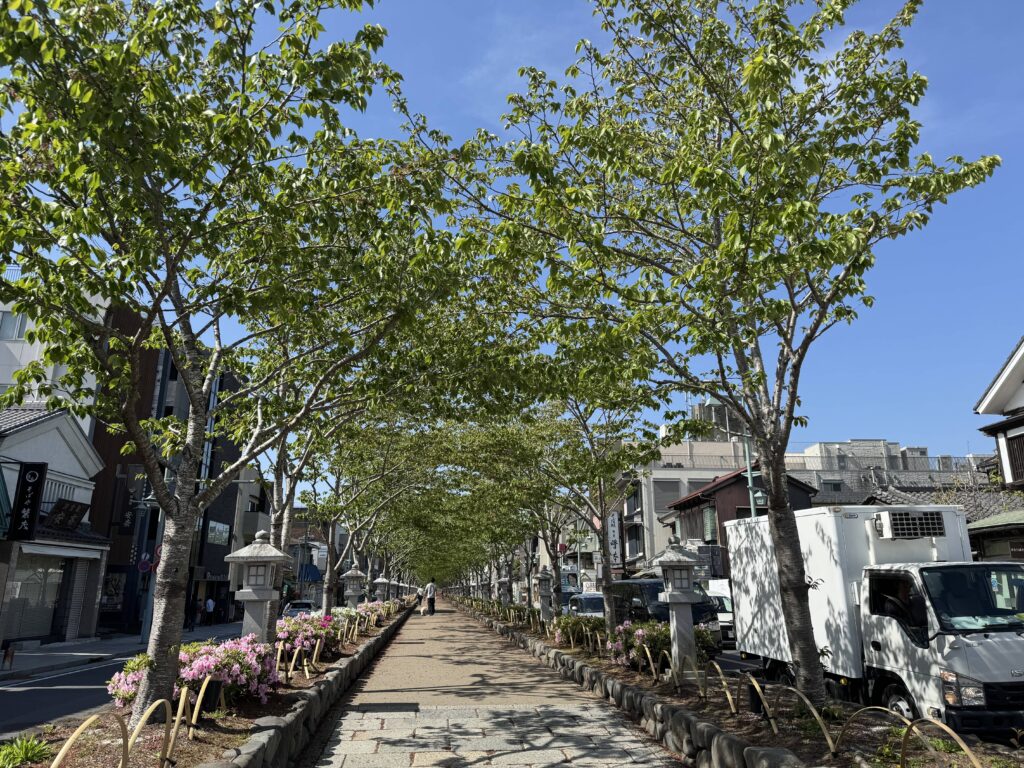 若宮大路・段葛