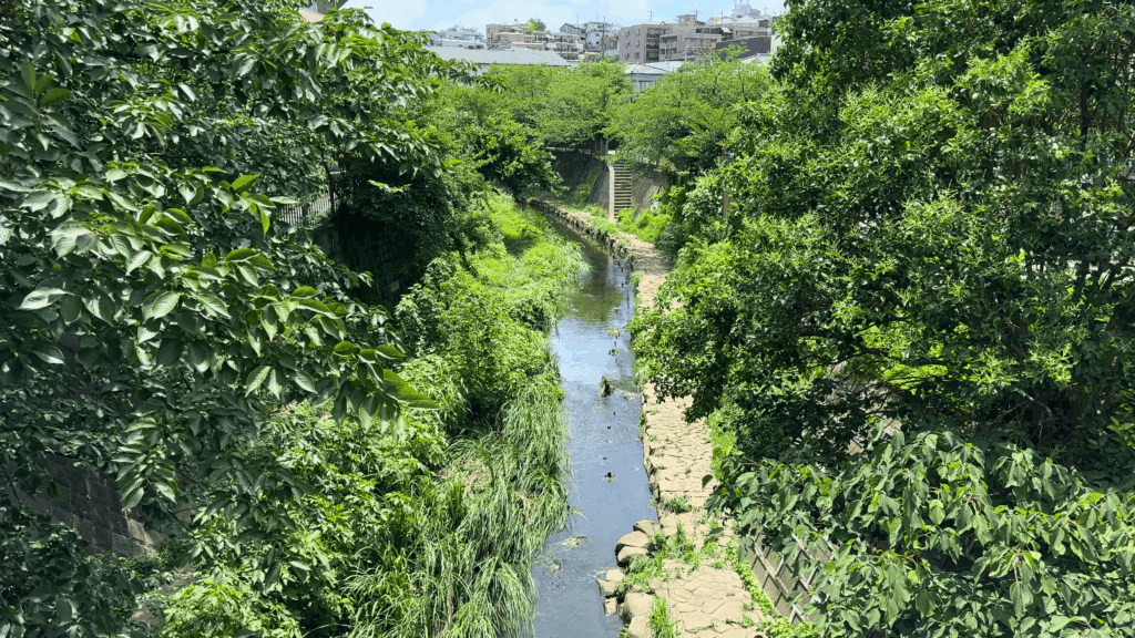 大岡川プロムナードからの景色