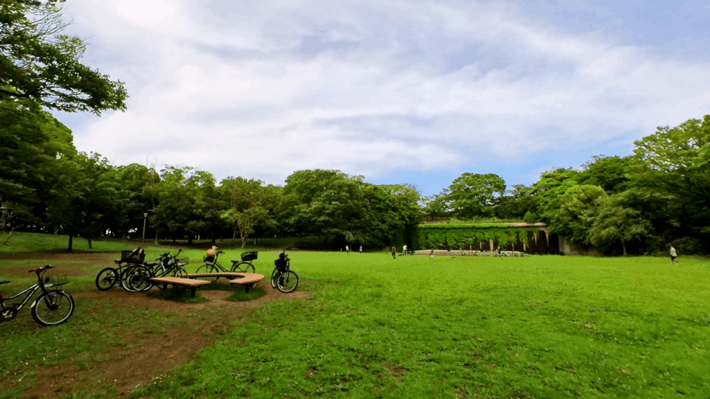 きいろ公園の芝生エリア