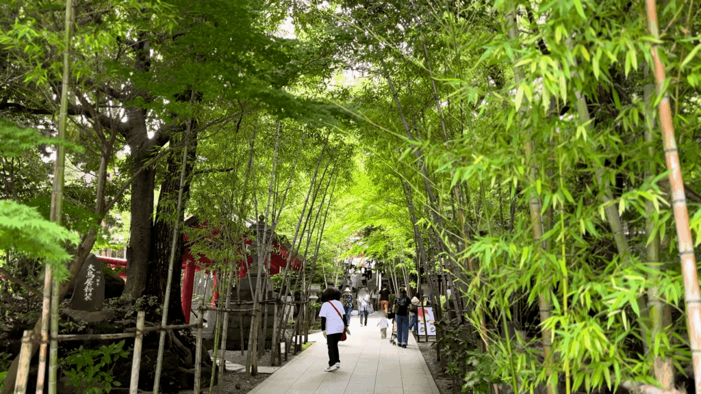 來宮神社の参道