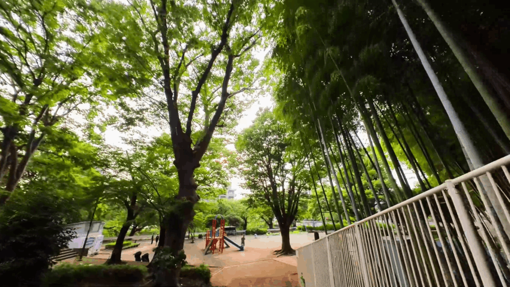 円行公園内の階段