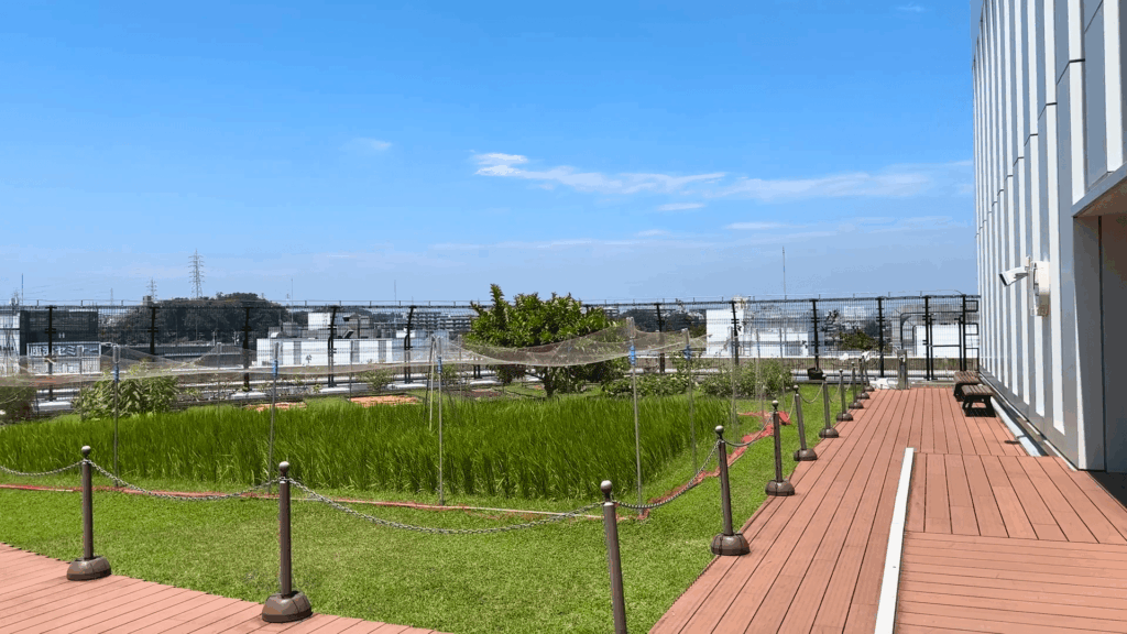 戸塚区役所の屋上庭園
