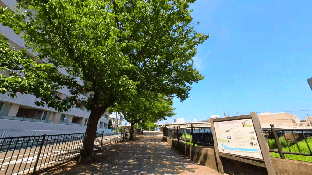柏尾川の遊歩道