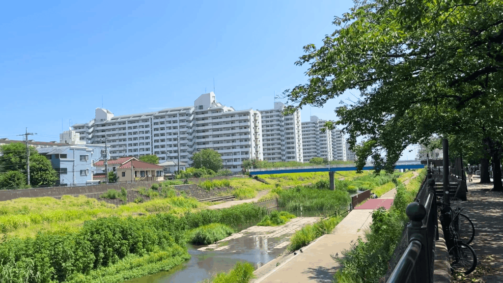 柏尾川