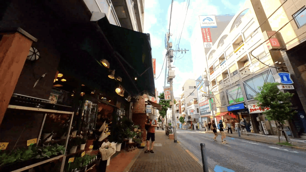 茶沢通り