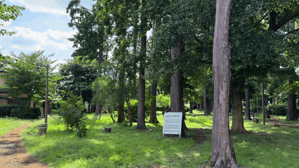 宇都宮記念公園ひのきの散歩道