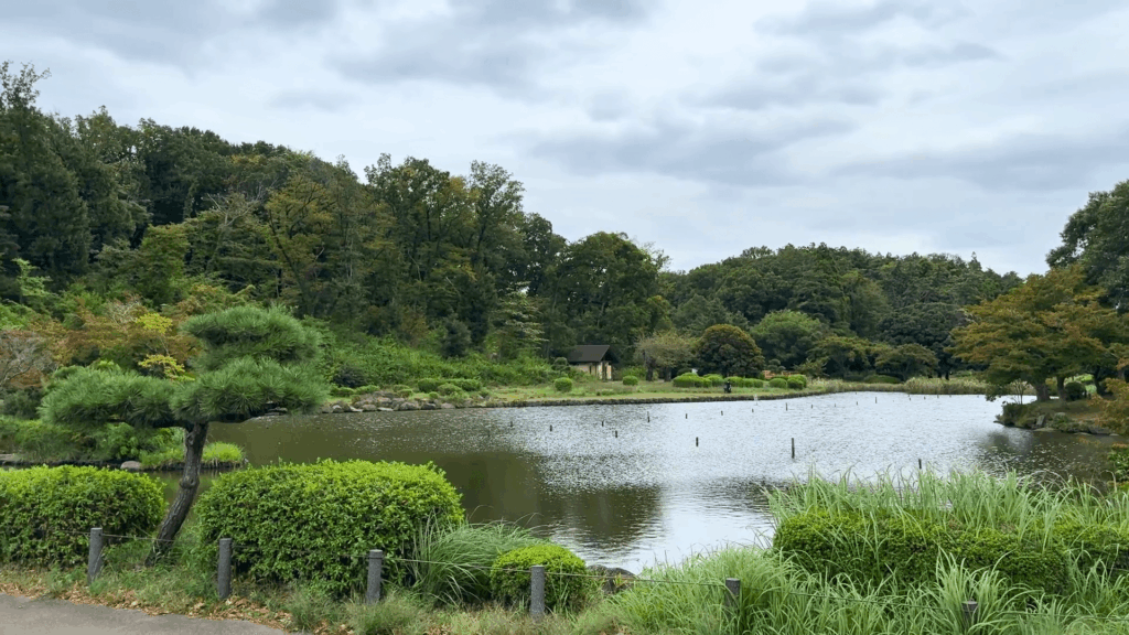 こども自然公園