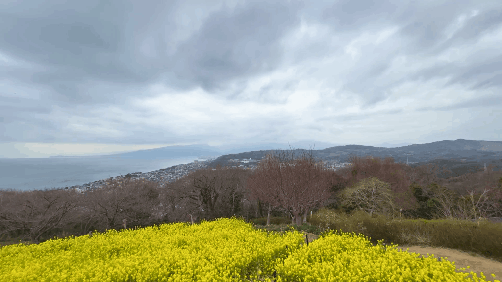吾妻山公園の展望台からの眺望