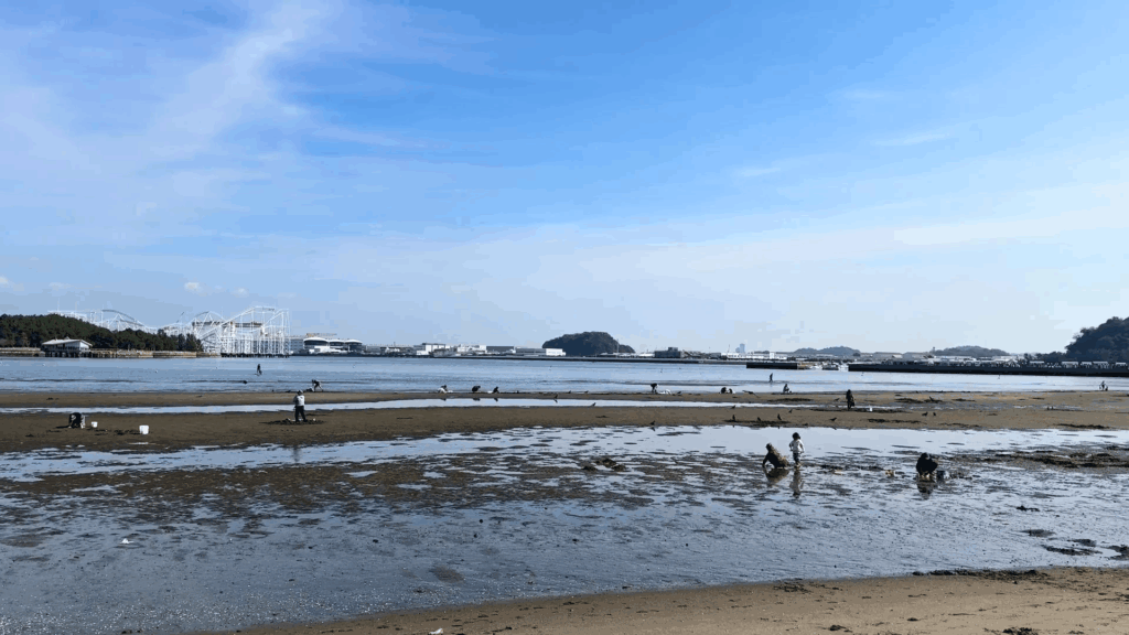 海の公園で潮干狩り