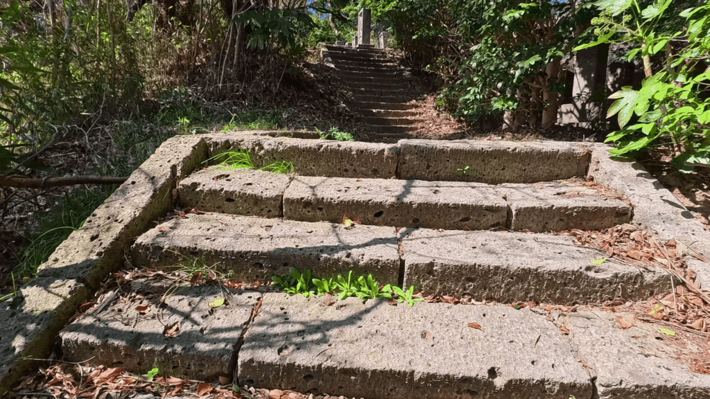 称名寺市民の森の山道
