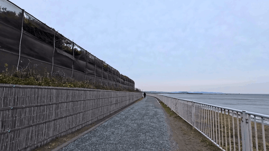 湘南海岸サイクリングロード