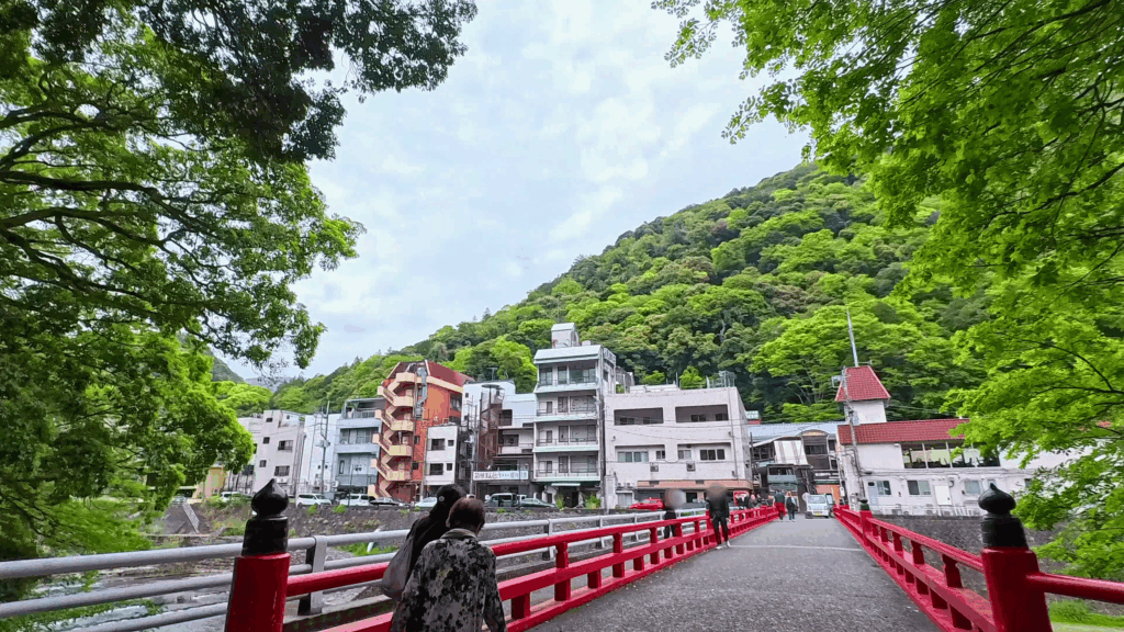 お昼のあじさい橋