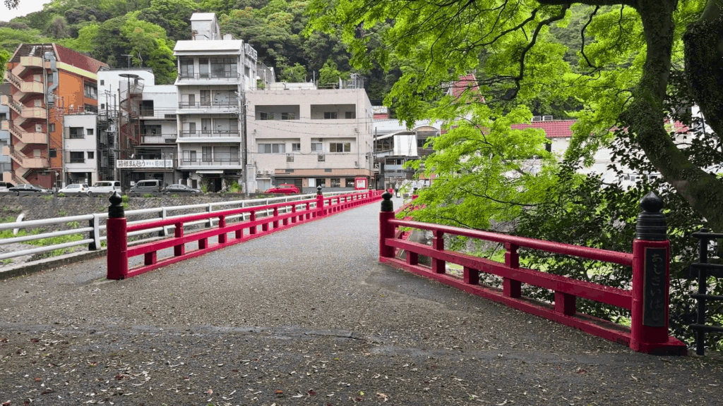 朝のあじさい橋