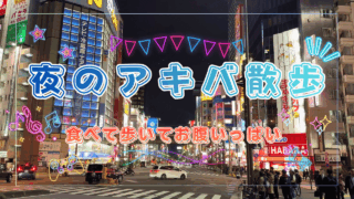 夜の秋葉原散策