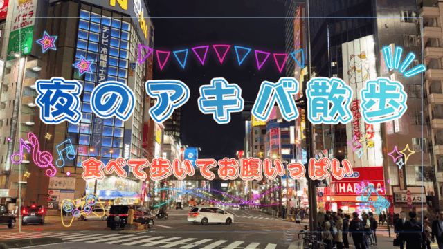 夜の秋葉原散策