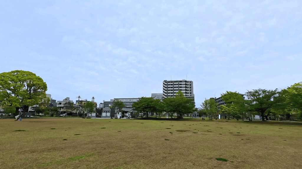 富士見公園の芝生広場