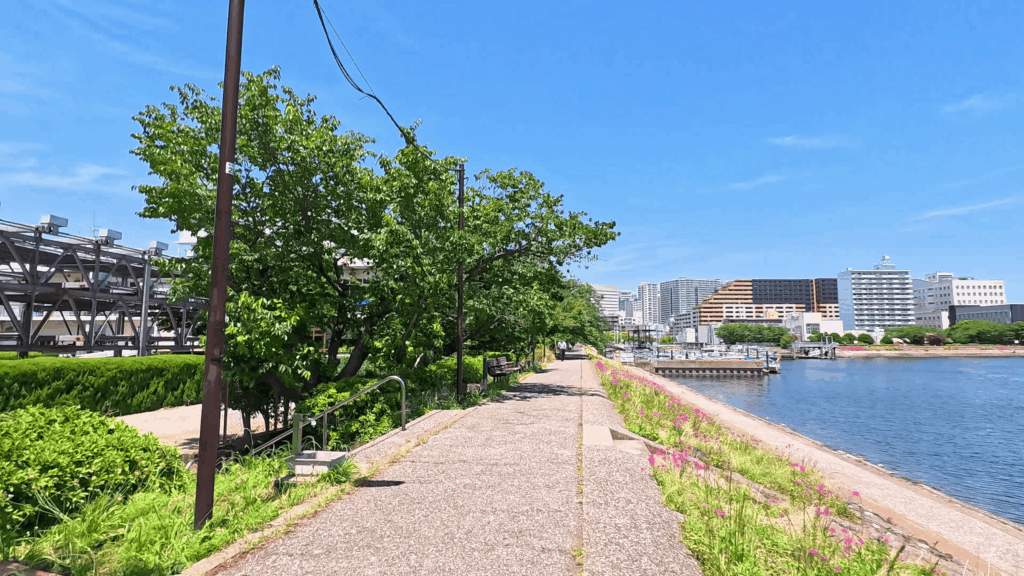 しながわ花海道