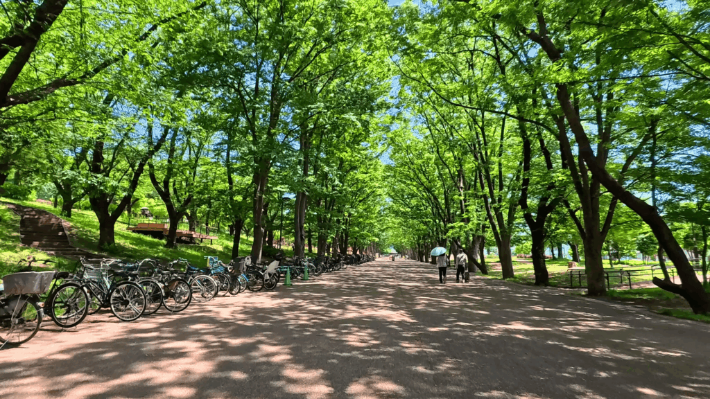 鶴間公園