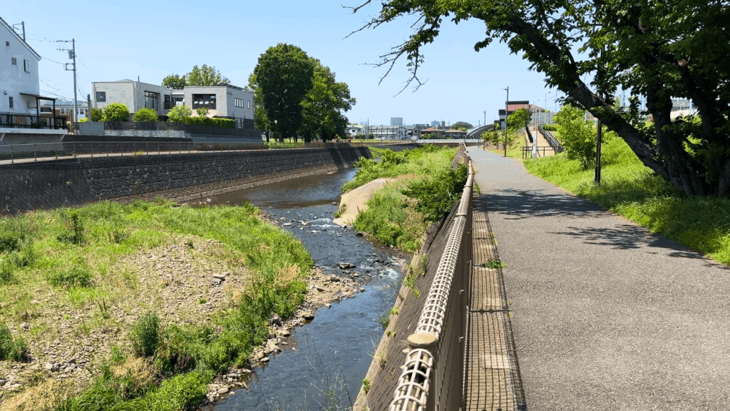 鶴間公園から見る境川