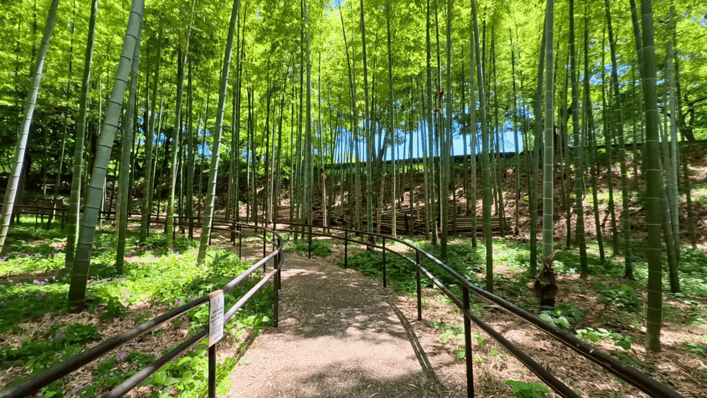大塚・歳勝土遺跡公園