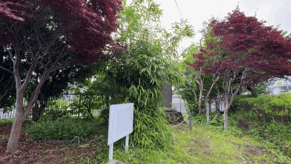 さかさ矢竹