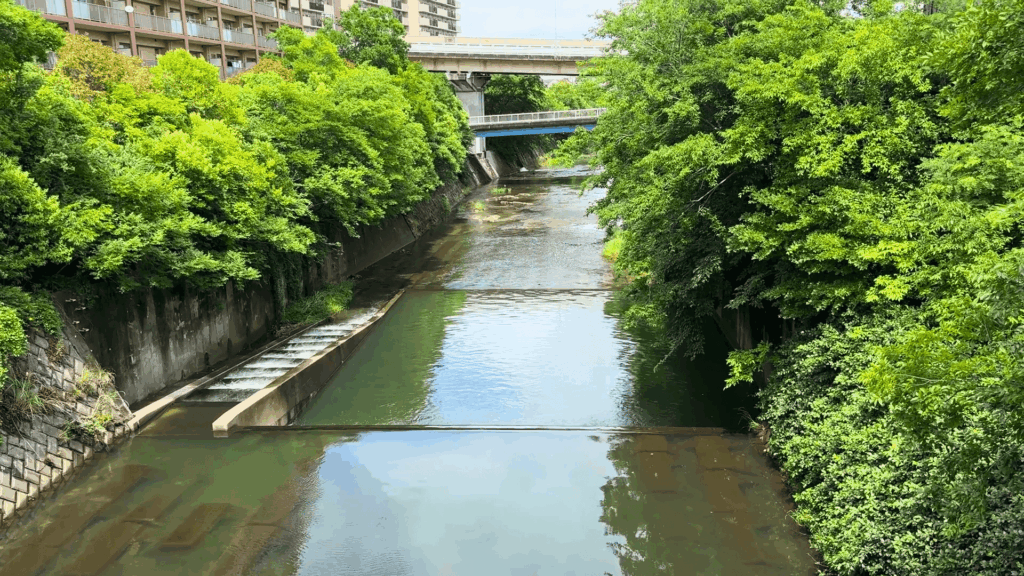鶴峰橋からの景観