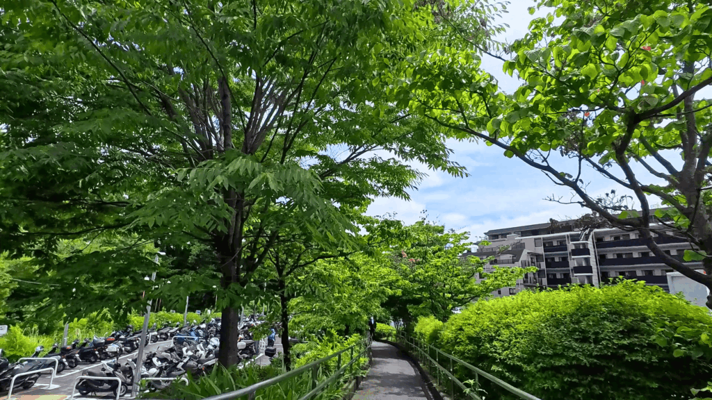 鎧の渡し緑道