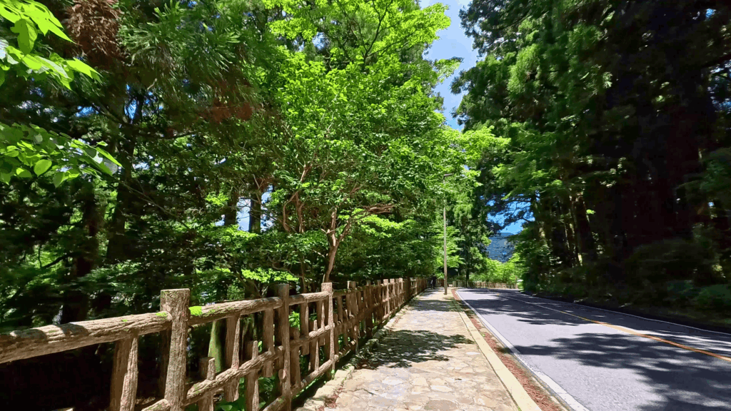 元箱根港へ続く東海道