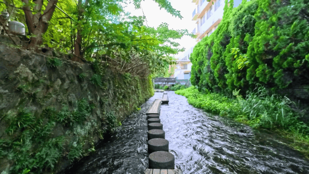 水辺の散歩道