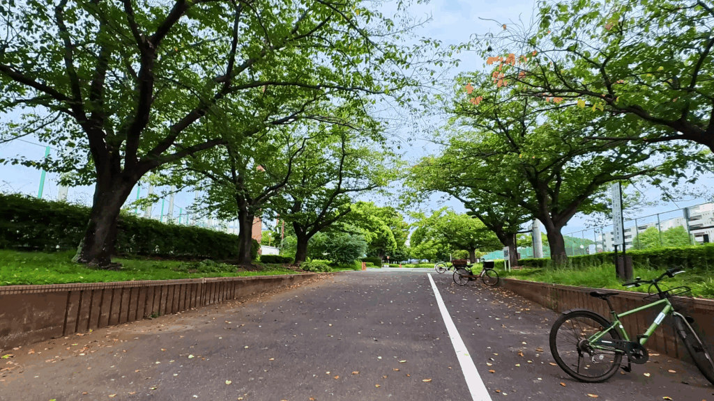 新杉田公園の入口