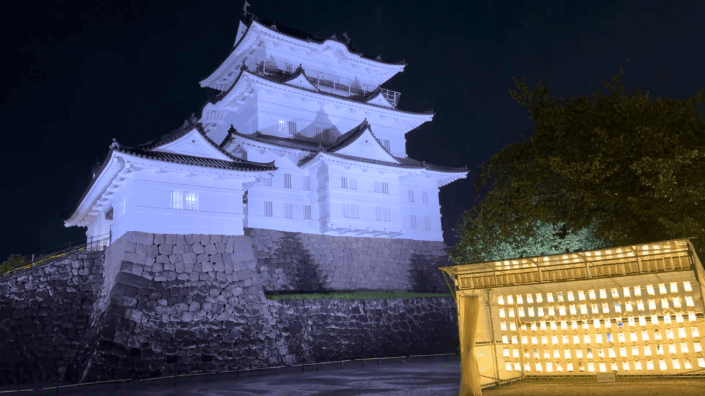 夜の小田原城